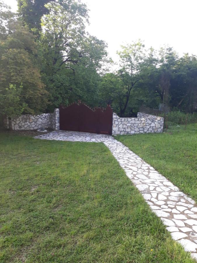 House At The Forest / Სახლი Ტყის Პირას Gordi Bagian luar foto